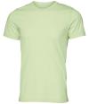 CA3001 CV3001 Retail T-Shirt Spring Green colour image